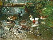 Enten am Bach unknow artist